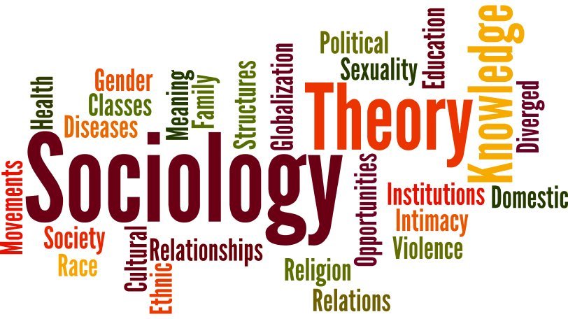 sociology course in college