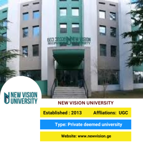 New Vision University