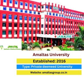 Amaltas Institute