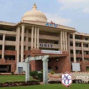 Adichunchanagiri University